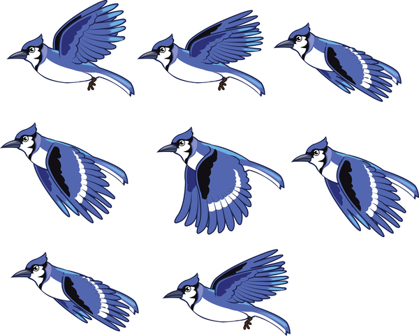 Blue birds illustration vector