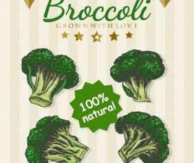 Broccoli poster vector