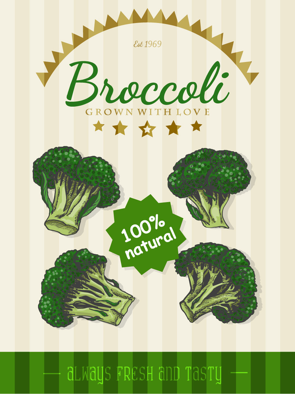 Broccoli poster vector