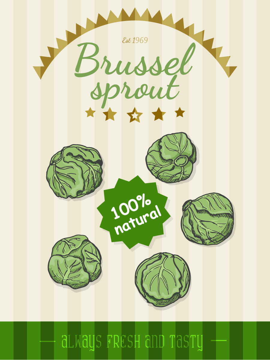 Brussel sprout poster retro vector