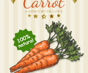 Carrot poster template retro vector