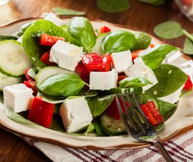 Cheese Vegetable Salad Stock Photo
