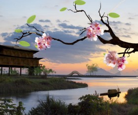 Cherry beautiful mood Stock Photo