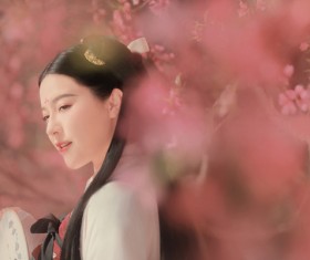 Chinese classical beauty HD picture