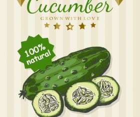 Cucumber poster vector