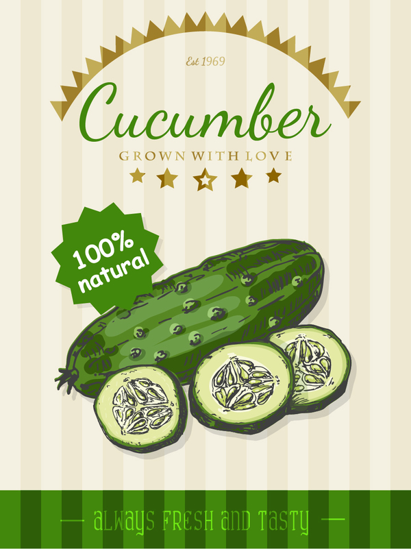 Cucumber poster vector