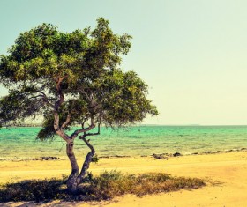 Cyprus seaside landscape photography HD picture