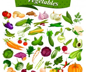 Different vagetables vector
