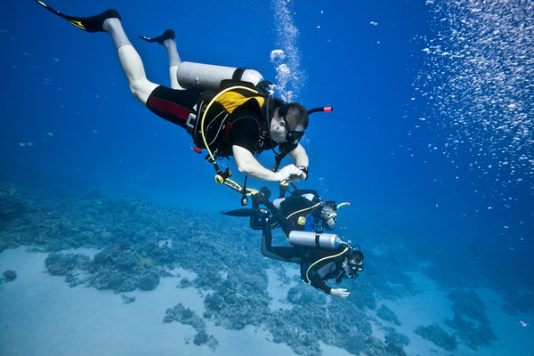 Diving enthusiasts Stock Photo 01