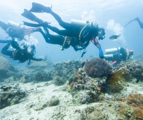 Diving enthusiasts Stock Photo 02