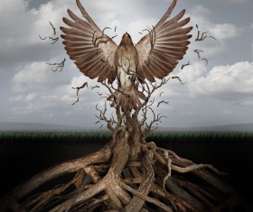 Eagle creative Stock Photo