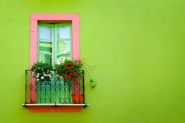 European windows with green walls HD picture