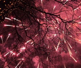 Festive night beautiful fireworks HD picture 04