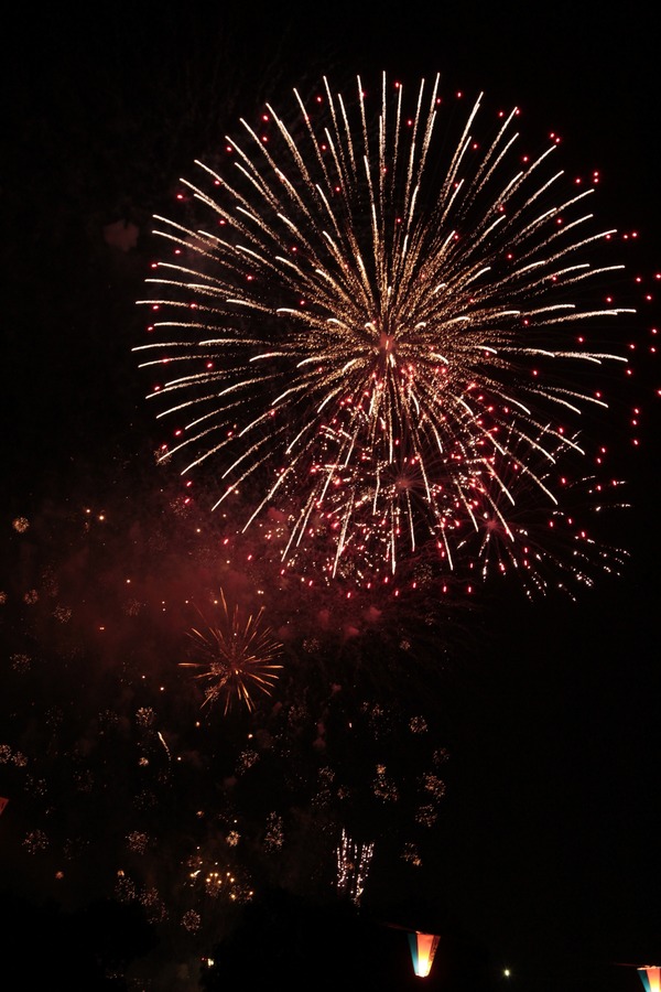 Festive night beautiful fireworks HD picture 15
