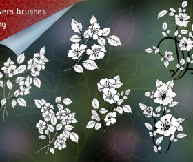 Flowers Beautiful Photoshop Brushes