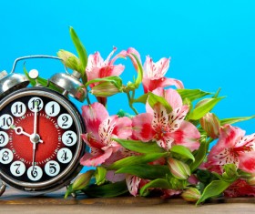 Flowers and alarm clock Stock Photo