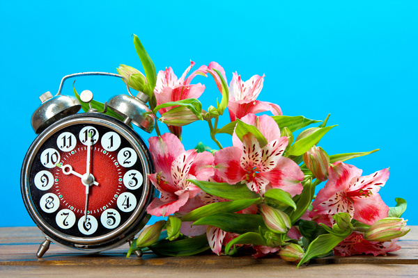 Flowers and alarm clock Stock Photo