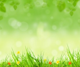 Flowers green leaves spring background HD picture
