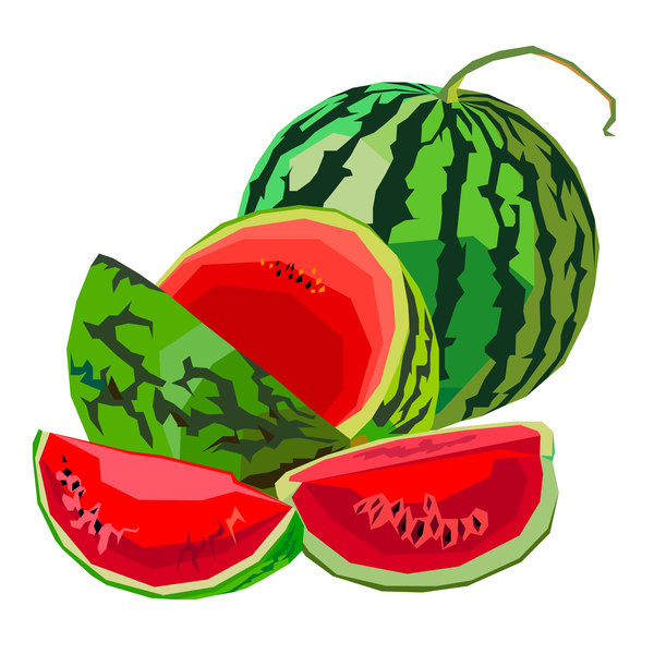 Fresh juicy watermelon with ripe vector material 01