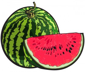 Fresh juicy watermelon with ripe vector material 03