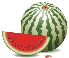 Fresh juicy watermelon with ripe vector material 05