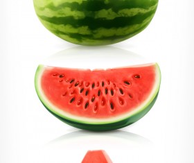 Fresh juicy watermelon with ripe vector material 06