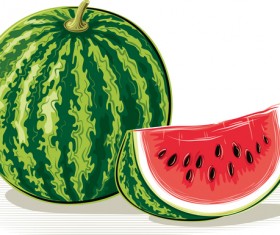 Fresh juicy watermelon with ripe vector material 07