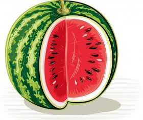 Fresh juicy watermelon with ripe vector material 08