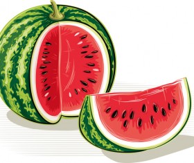 Fresh juicy watermelon with ripe vector material 09