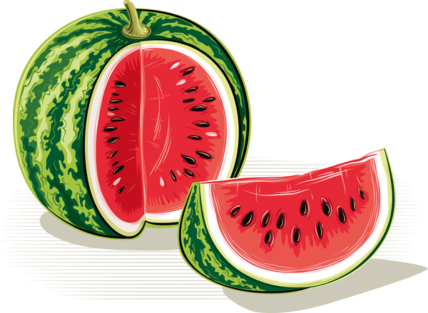 Fresh juicy watermelon with ripe vector material 09