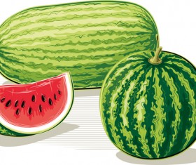Fresh juicy watermelon with ripe vector material 10