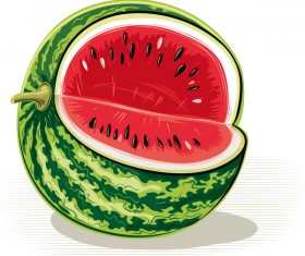 Fresh juicy watermelon with ripe vector material 11
