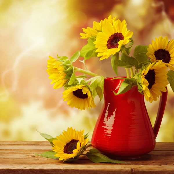 Golden sunflower flower arrangement Stock Photo
