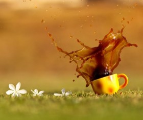 Grass on the splash of coffee Stock Photo