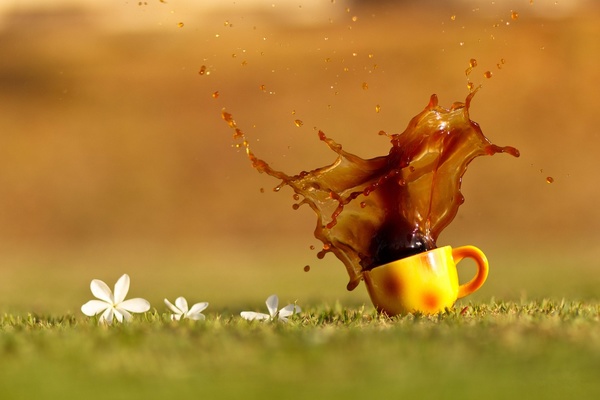 Grass on the splash of coffee Stock Photo