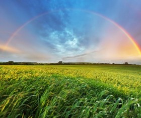Green field beautiful rainbow Stock Photo