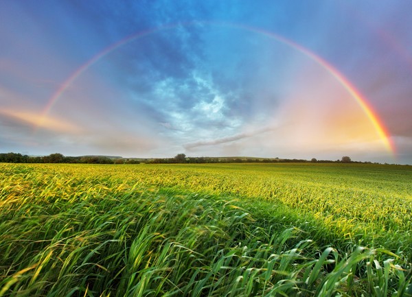 Green field beautiful rainbow Stock Photo