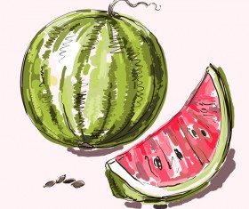 Hand drawn watermelon vectors