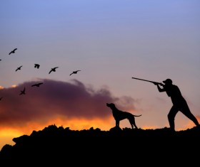Hunting the man with the hound to fly the bird Stock Photo