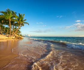 Landscape of paradise tropical island beach Stock Photo 01