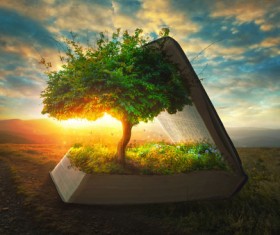 Life from the Bible Stock Photo 11