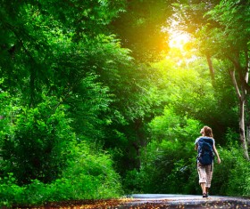 Lush woods and backpackers HD picture