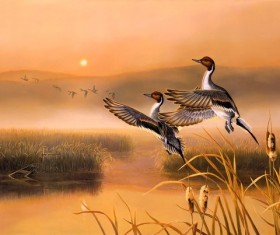 Migrating bird oil painting Stock Photo
