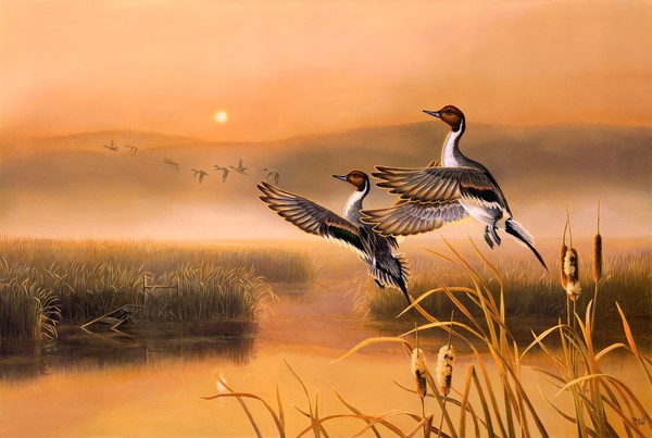 Migrating bird oil painting Stock Photo