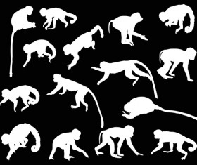 Monkey white silhouette vector set 03