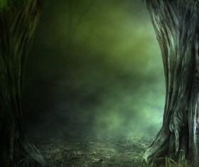 Mysterious forest Stock Photo 02