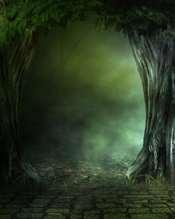 Mysterious forest Stock Photo 02
