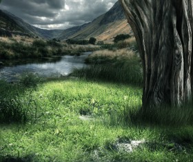 Mysterious forest Stock Photo 03