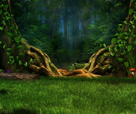 Mysterious forest Stock Photo 06