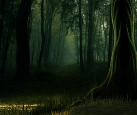Mysterious forest Stock Photo 09